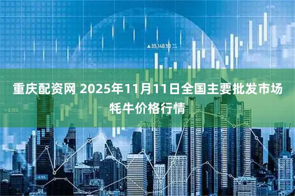 重庆配资网 2025年11月11日全国主要批发市场牦牛价格行情