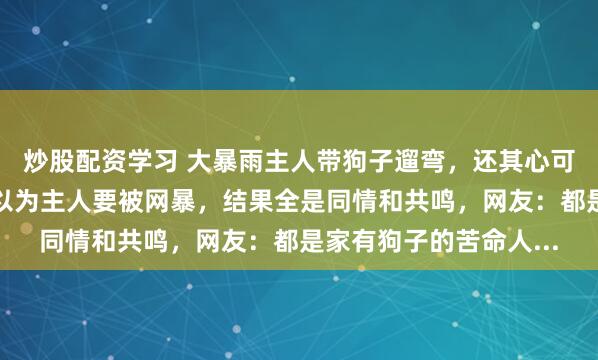 炒股配资学习 大暴雨主人带狗子遛弯，还其心可诛不给孩子打伞，原以为主人要被网暴，结果全是同情和共鸣，网友：都是家有狗子的苦命人...